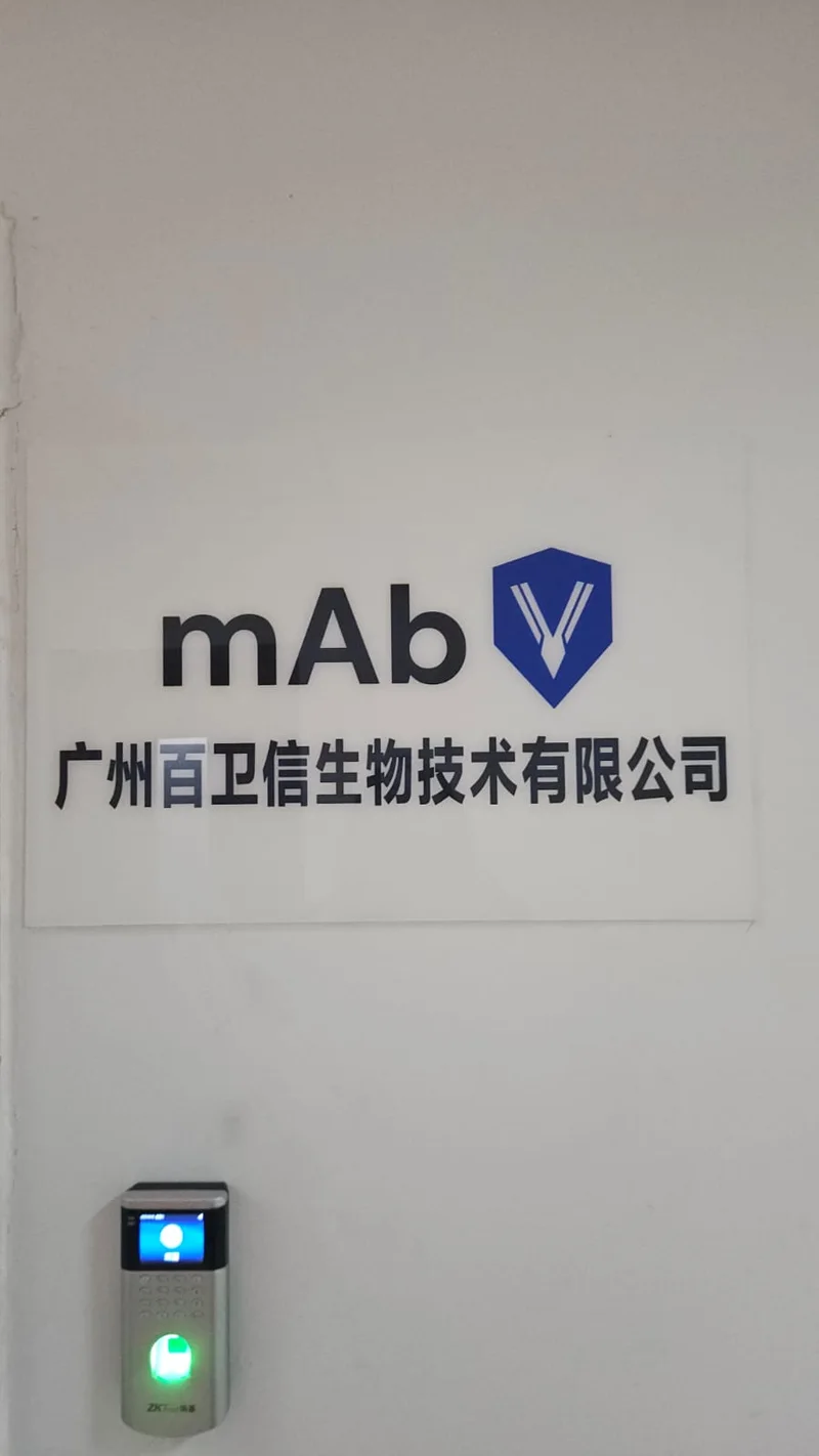 mAbV brand identity on the office glass